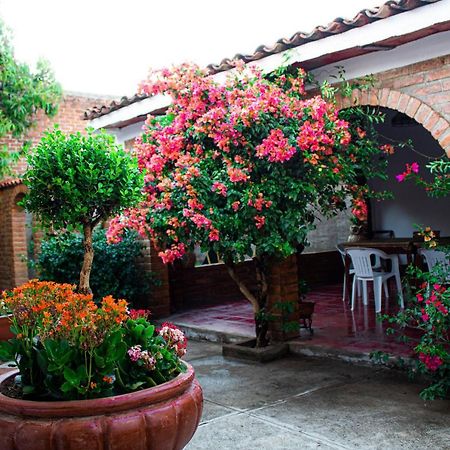 Villa Flores, Casa En El Centro De Mascota Exteriér fotografie