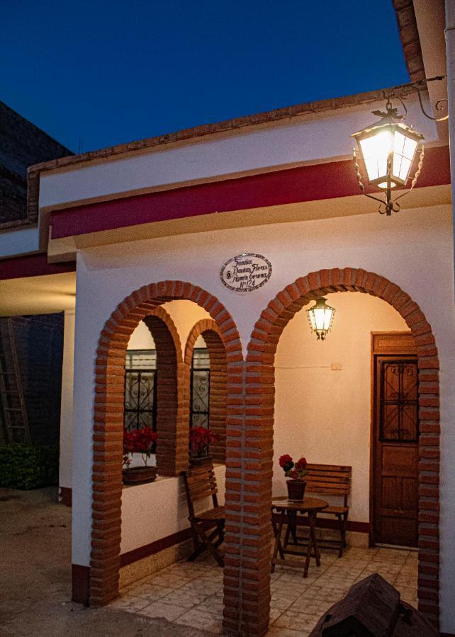 Villa Flores, Casa En El Centro De Mascota Exteriér fotografie