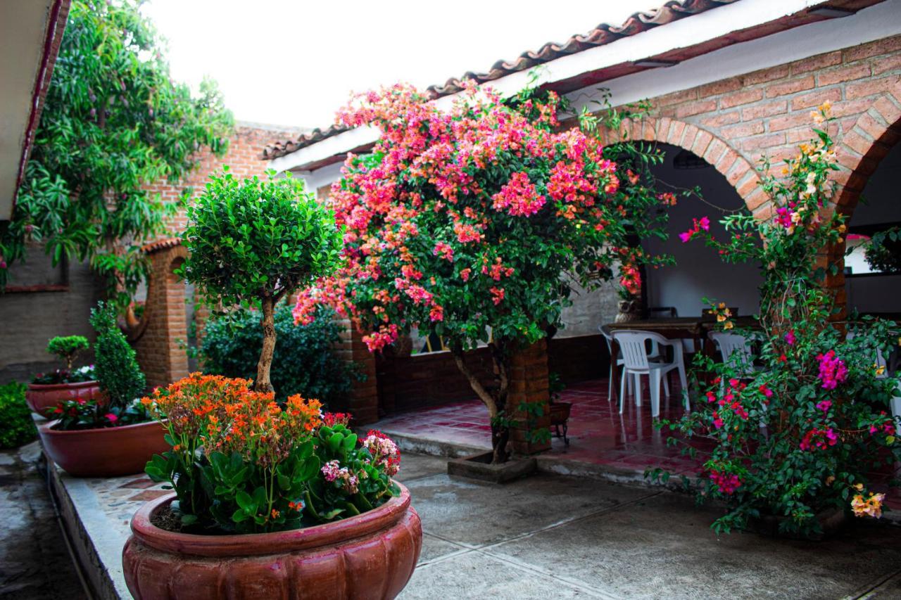 Villa Flores, Casa En El Centro De Mascota Exteriér fotografie